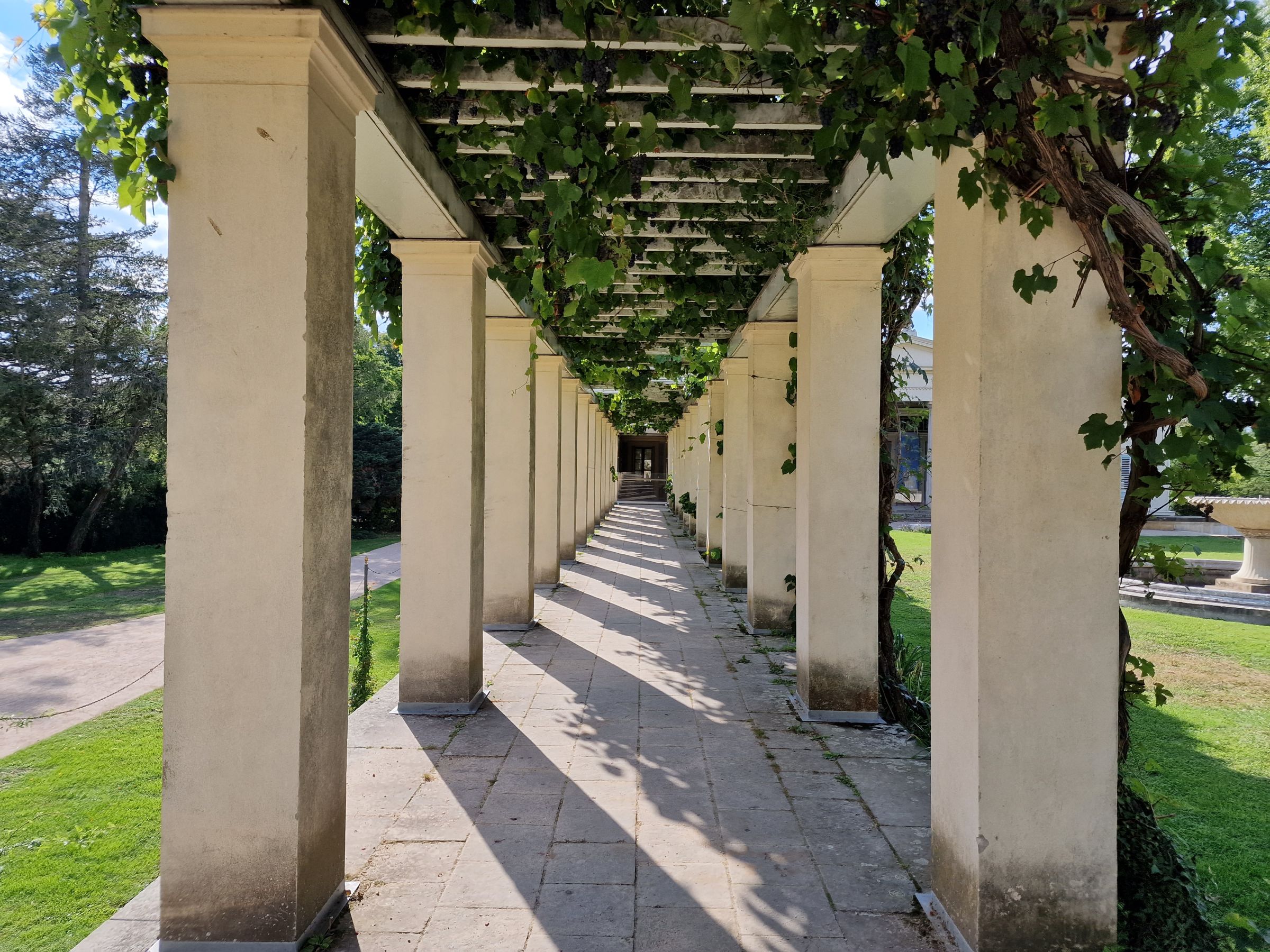 Garden pergola Charlottenhof Palace